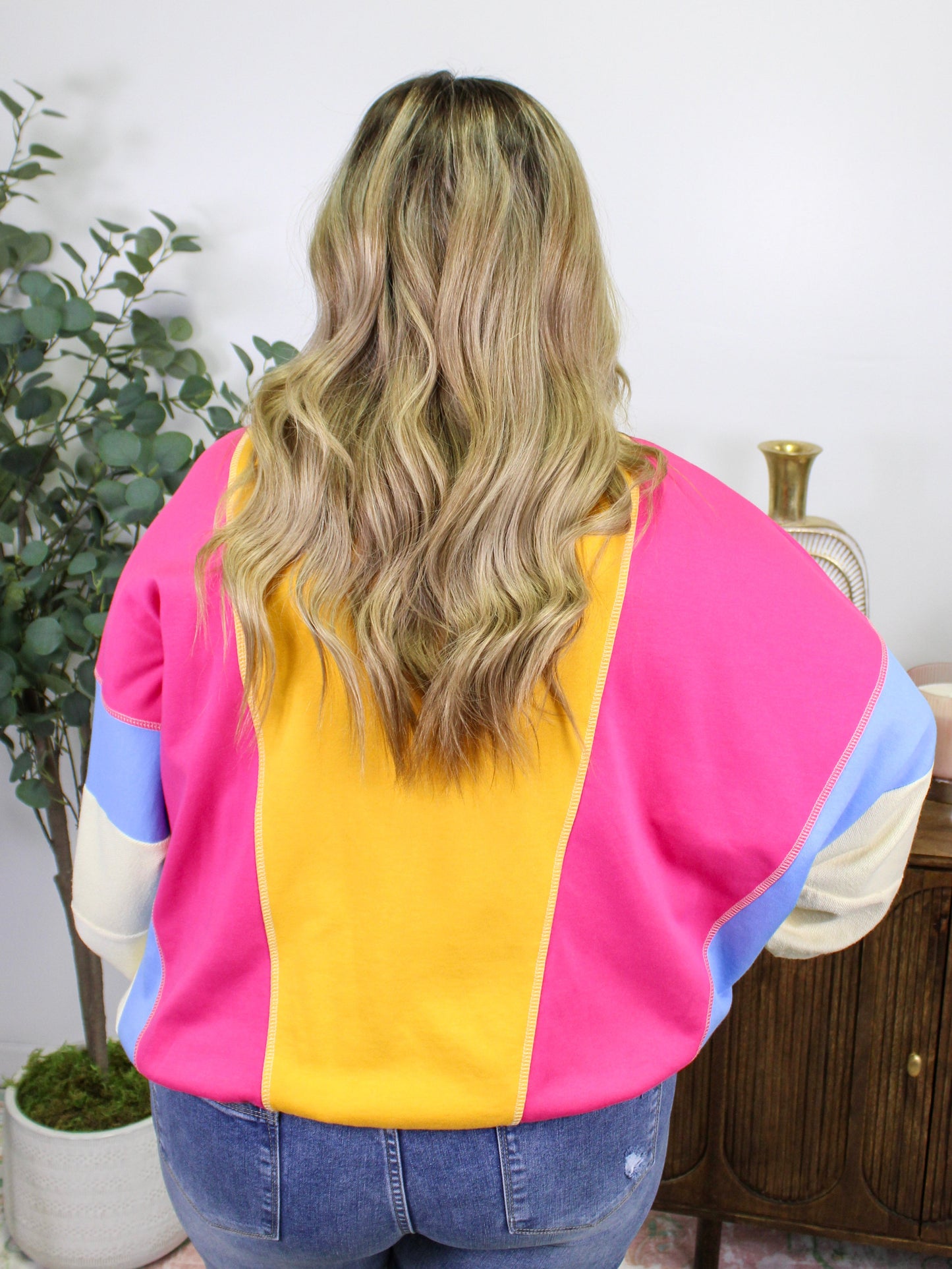 Colorblock Plus Size Sweatshirt LT